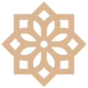 Emmerson plc logo