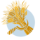Heavitree Brewery plc logo
