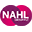 Nahl Group plc logo