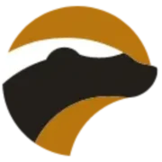 PAN African Resources plc logo